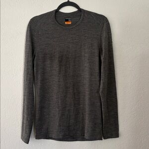 Icebreaker Merino Wool Top 200 Base layer Gray